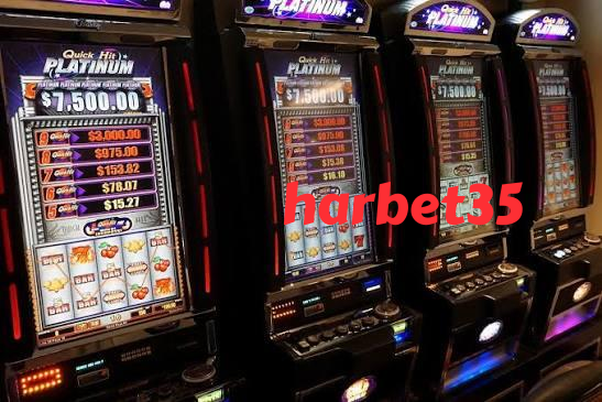 hohotogel slide 1
