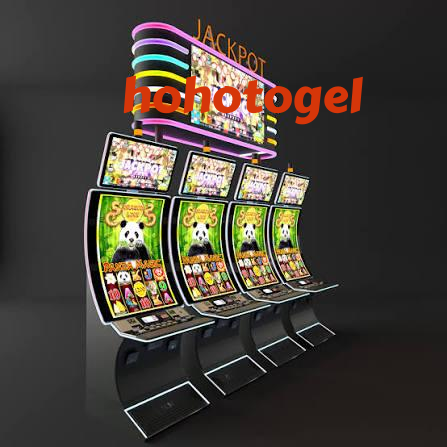hohotogel Live Sportsbook Markets at Your Fingertips
