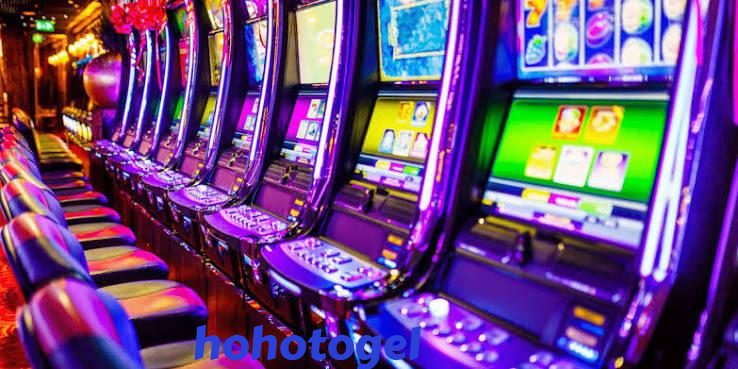 hohotogel Live Game Shows at hohotogel